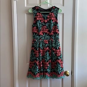 Amazing Detail Dress with Mesh Back